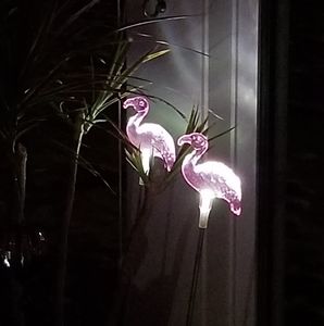 Meet your Posher, Becca